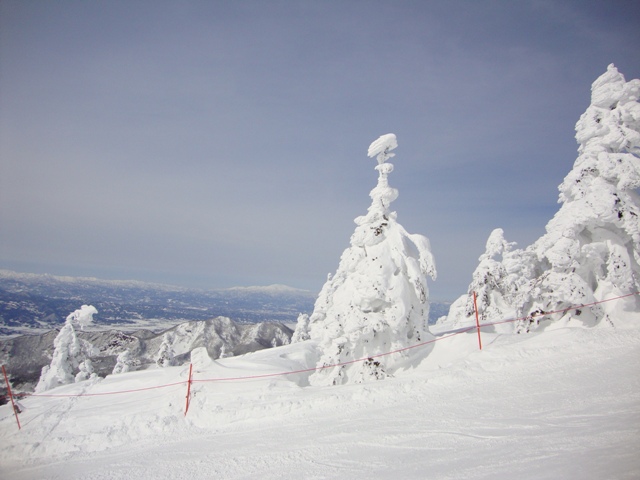 かぼ父さん、蔵王ひとり旅_a0126590_163552.jpg