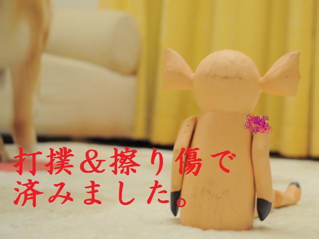 痛いの痛いの飛んでけ!_a0126590_5113226.jpg