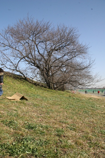 f0128092_03954.jpg