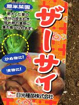 ザーサイを栽培してみました さくさく畑