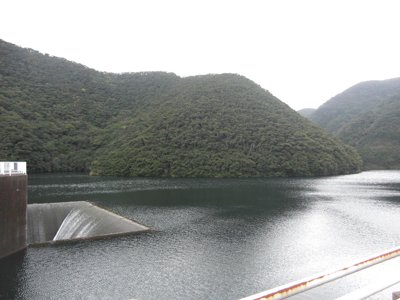 a0100798_215195.jpg