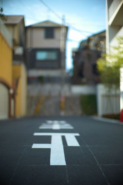 ノクチルックス 50mm F1.0（E58 / 2nd）_d0118803_1723560.jpg