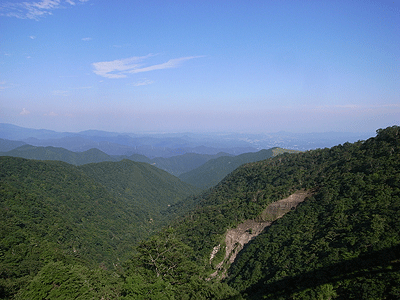 b0117406_22533789.gif