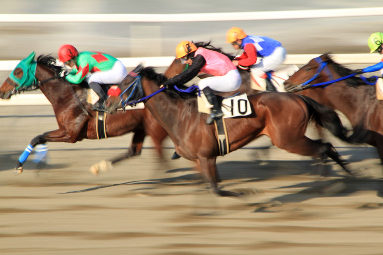 寒風吹き荒む園田競馬場・その３_d0113707_050677.jpg