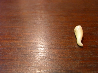 c0201910_22232393.jpg
