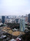 ザ・東京⑤_c0226010_23254610.jpg