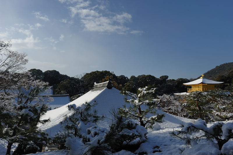 思いがけず雪景色　金閣寺編　　其の二_f0032011_1945466.jpg