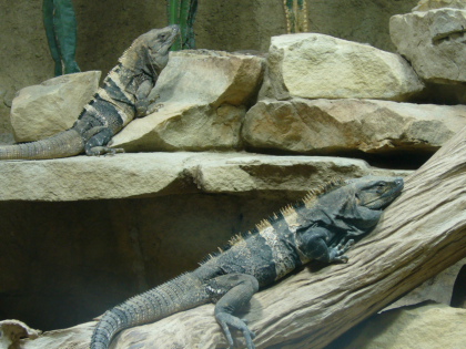 f0200015_3115162.jpg
