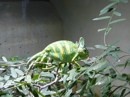 f0200015_3121939.jpg