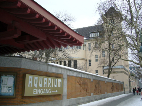 f0200015_312639.jpg