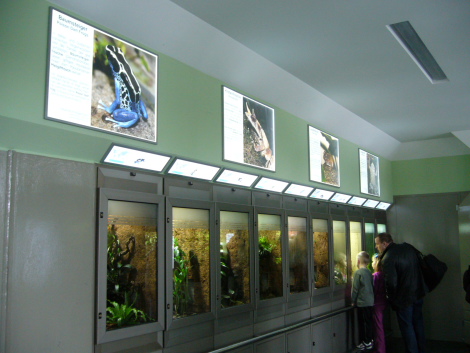f0200015_3205067.jpg