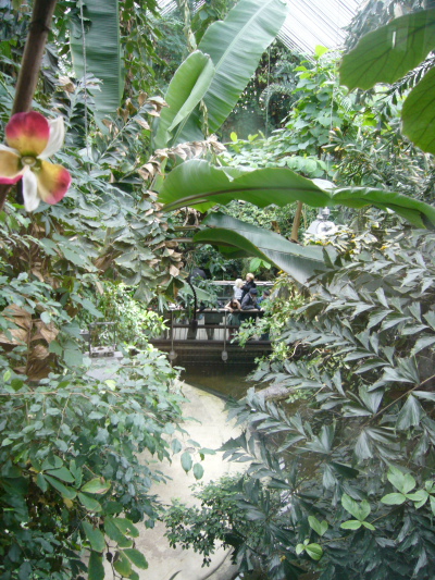 f0200015_3214148.jpg