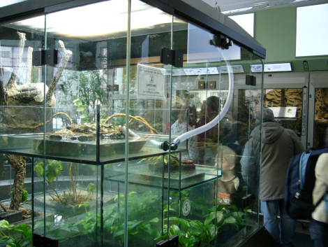 f0200015_3264443.jpg