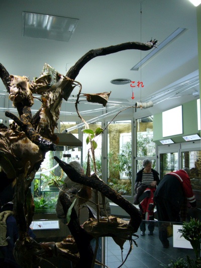 f0200015_33079.jpg