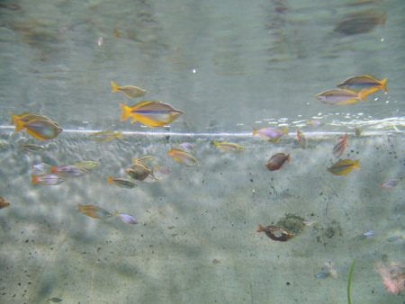 f0200015_365784.jpg