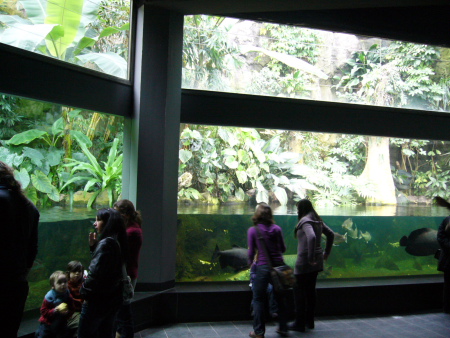 f0200015_374077.jpg