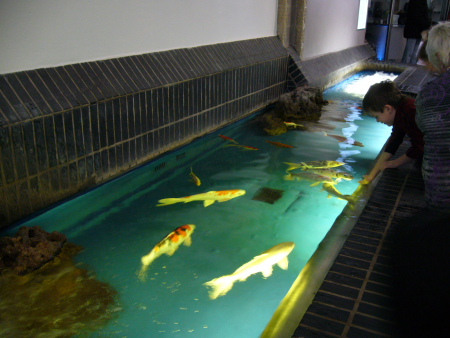 f0200015_384879.jpg