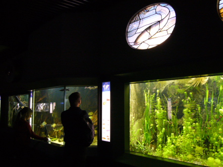 f0200015_38653.jpg