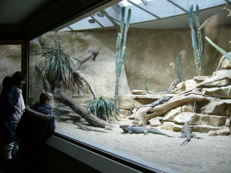 f0200015_392274.jpg