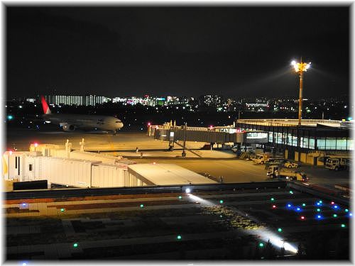 d0149617_8384858.jpg