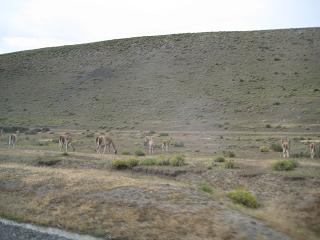 f0135018_40635.jpg