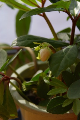 f0170524_11291726.jpg