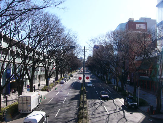 c0194929_3563955.jpg