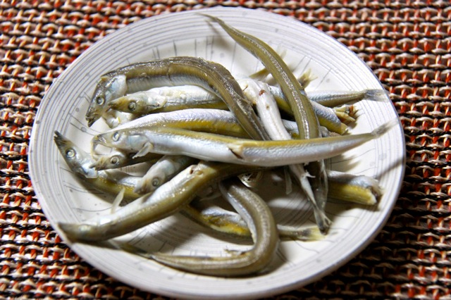 追記:Burgaz Ada_d0010432_23465335.jpg