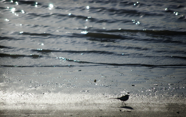 f0145933_2152739.jpg