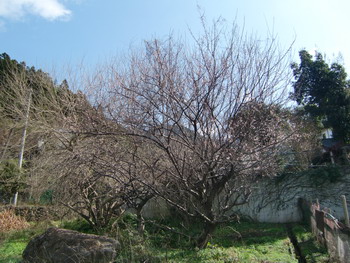 c0183137_2230414.jpg