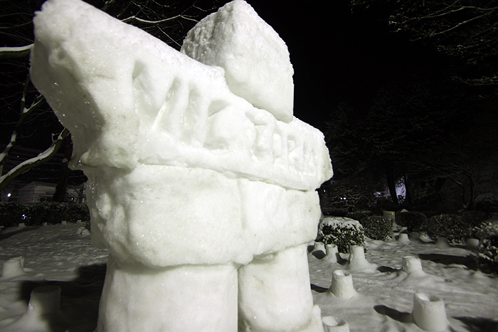 深夜の雪あかり ２０１０_a0153950_7155367.jpg