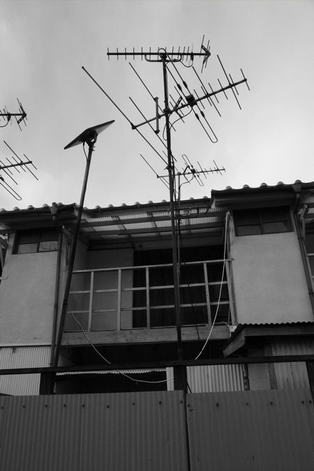 c0181552_19163837.jpg