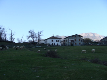 a0155659_03946.jpg
