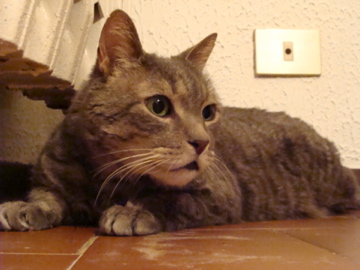a0155659_17187.jpg
