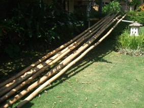 d0083068_9332411.jpg