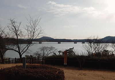 d0152869_18255690.gif