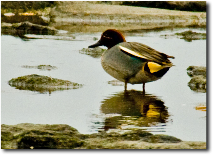 葛西臨海公園_a0073970_9472992.jpg