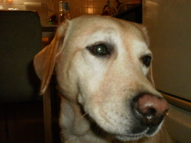 f0052277_1545028.jpg