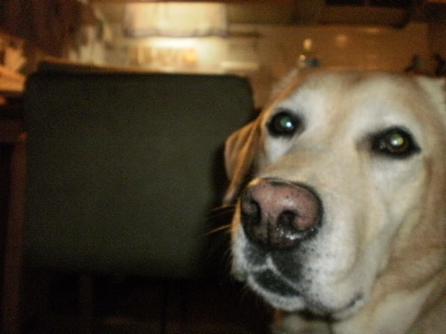 f0052277_1572125.jpg