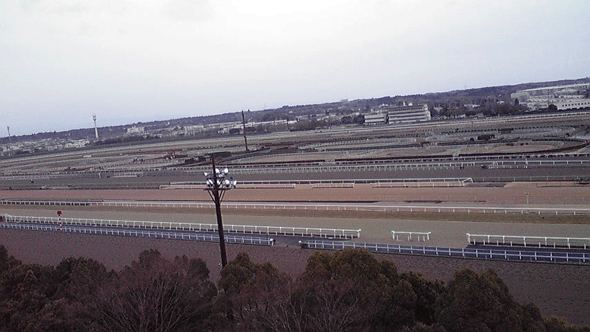 c0175182_13242542.gif