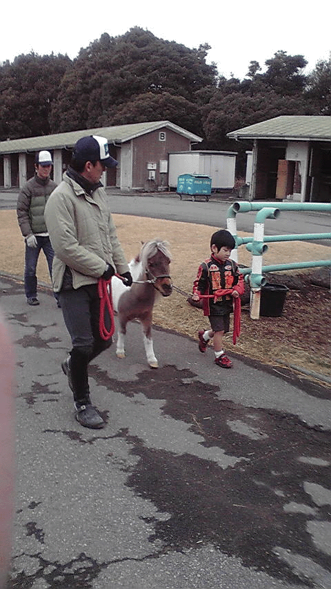c0175182_13301183.gif