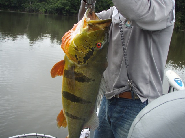 f0210098_60674.jpg