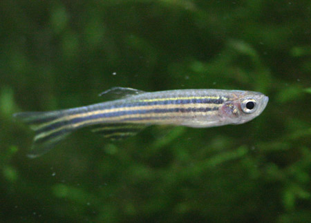 c0165800_055952.jpg