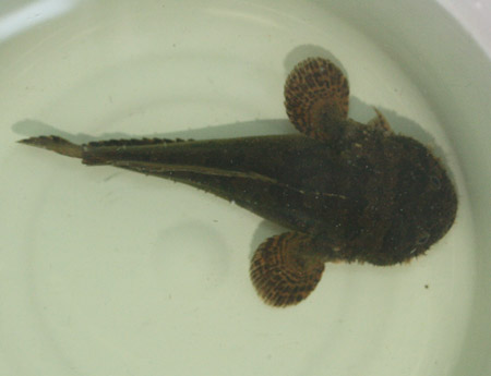 c0165800_1263110.jpg