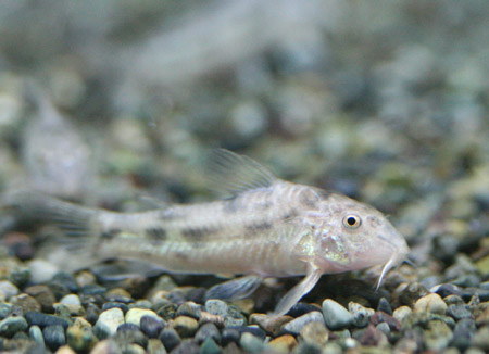c0165800_1352673.jpg