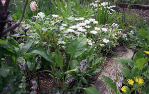 c0204801_11484810.gif