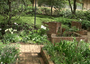 c0204801_1149304.gif