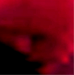 e0103408_12381676.gif