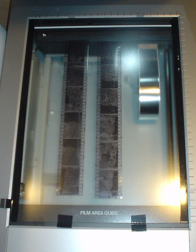 d0127209_224327.jpg