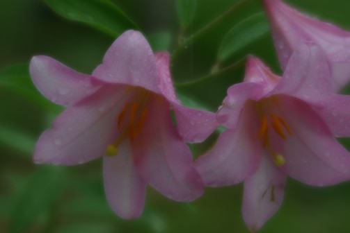 c0152317_22471692.jpg